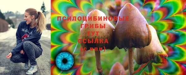 наркотики Аркадак