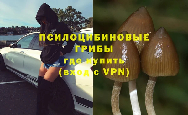 MESCALINE Арсеньев