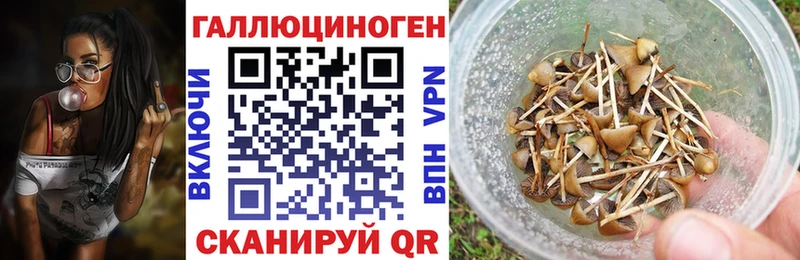 Галлюциногенные грибы Psilocybe  Владивосток 