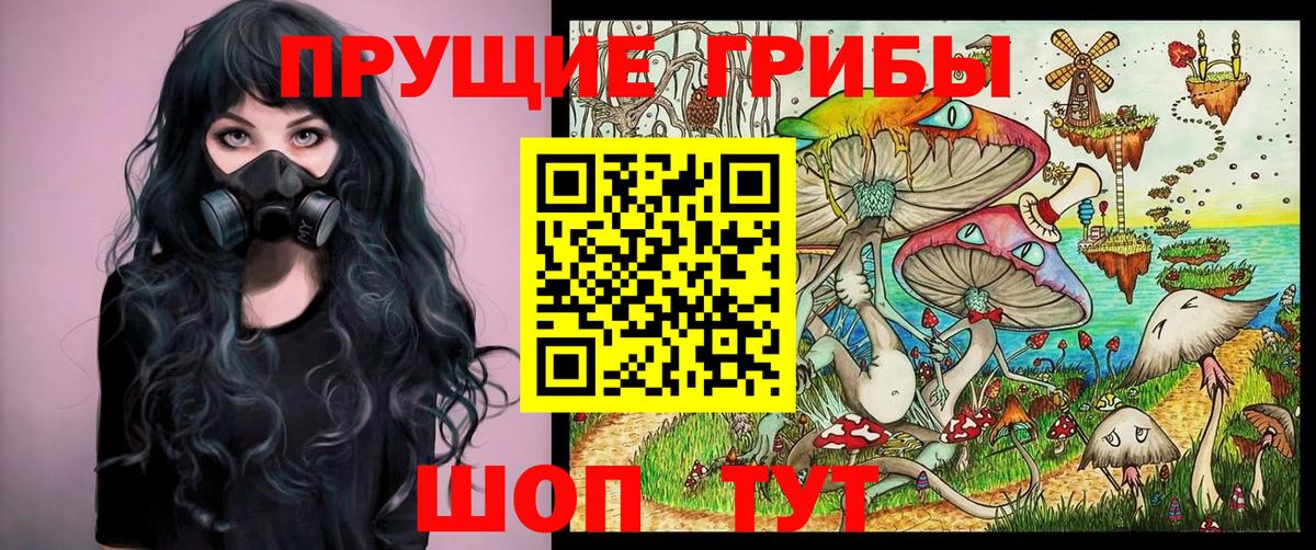 Владивосток  Псилоцибиновые грибы Cubensis  Вход с VPN 